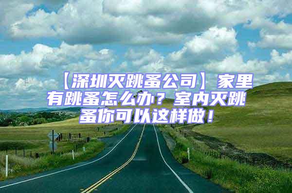 【深圳滅跳蚤公司】家里有跳蚤怎么辦？室內(nèi)滅跳蚤你可以這樣做！