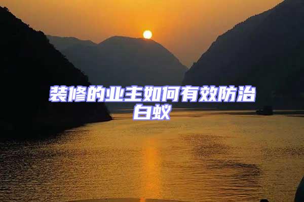 裝修的業主如何有效防治白蟻