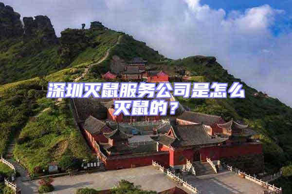 深圳滅鼠服務(wù)公司是怎么滅鼠的？