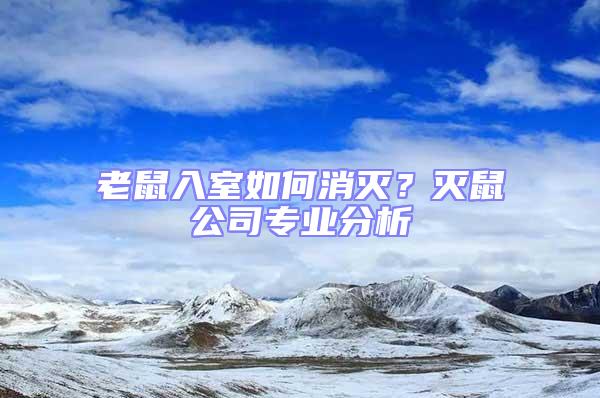 老鼠入室如何消滅？滅鼠公司專業分析