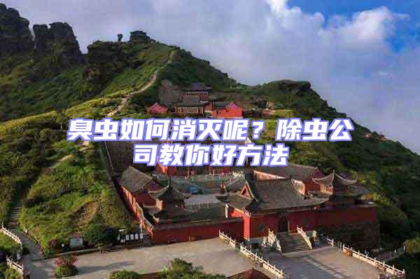 臭蟲如何消滅呢？除蟲公司教你好方法