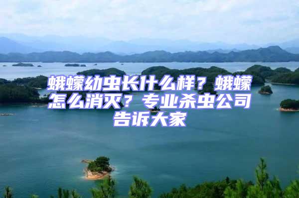 蛾蠓幼蟲(chóng)長(zhǎng)什么樣？蛾蠓怎么消滅？專業(yè)殺蟲(chóng)公司告訴大家