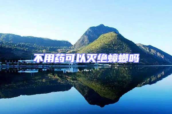 不用藥可以滅絕蟑螂嗎