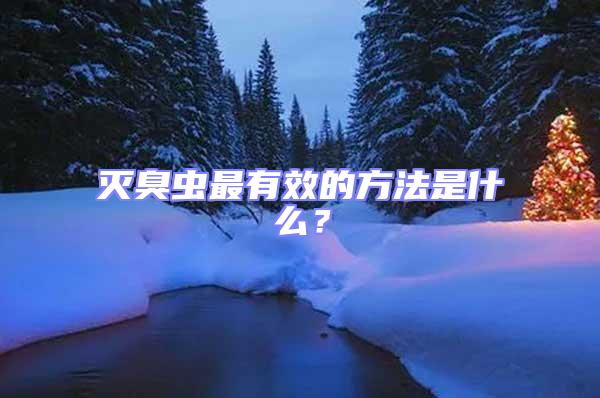 滅臭蟲最有效的方法是什么？