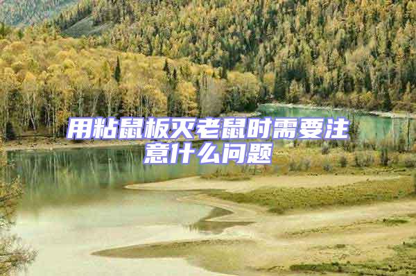 用粘鼠板滅老鼠時需要注意什么問題
