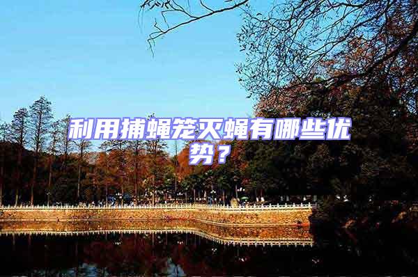 利用捕蠅籠滅蠅有哪些優(yōu)勢？