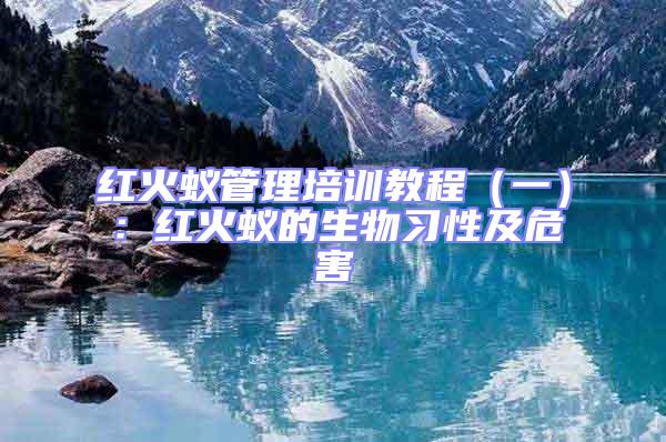紅火蟻管理培訓教程（一）：紅火蟻的生物習性及危害