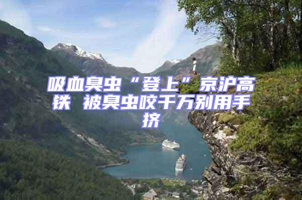 吸血臭蟲“登上”京滬高鐵 被臭蟲咬千萬別用手?jǐn)D