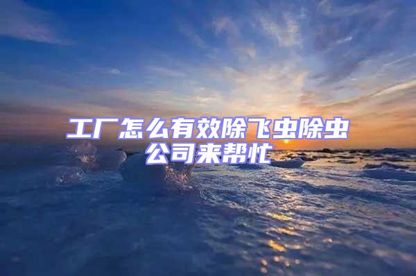 工廠怎么有效除飛蟲(chóng)除蟲(chóng)公司來(lái)幫忙