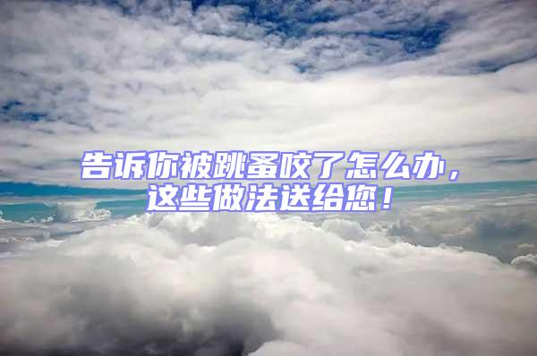 告訴你被跳蚤咬了怎么辦，這些做法送給您！