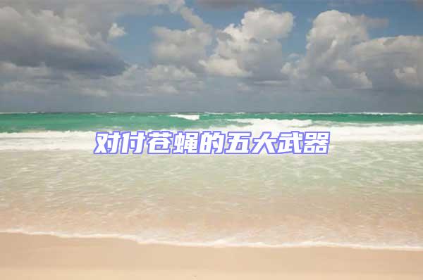 對(duì)付蒼蠅的五大武器