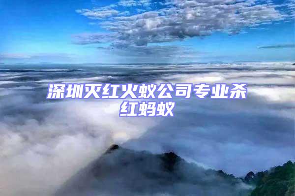 深圳滅紅火蟻公司專業(yè)殺紅螞蟻