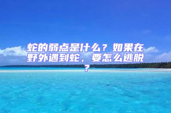 蛇的弱點是什么？如果在野外遇到蛇，要怎么逃脫？
