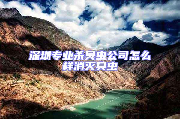 深圳專業殺臭蟲公司怎么樣消滅臭蟲