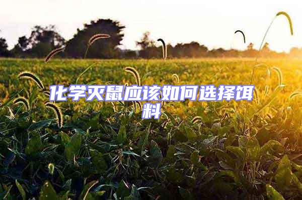 化學滅鼠應(yīng)該如何選擇餌料