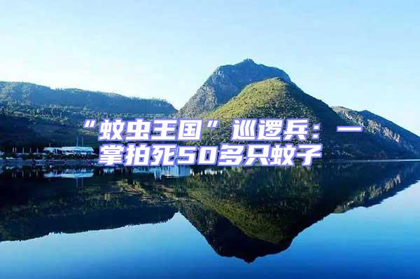 “蚊蟲(chóng)王國(guó)”巡邏兵：一掌拍死50多只蚊子