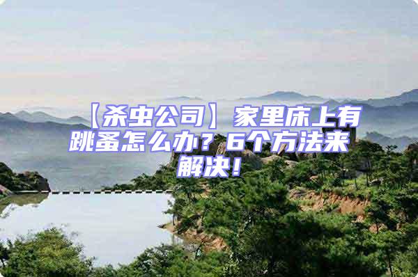 【殺蟲公司】家里床上有跳蚤怎么辦？6個方法來解決！