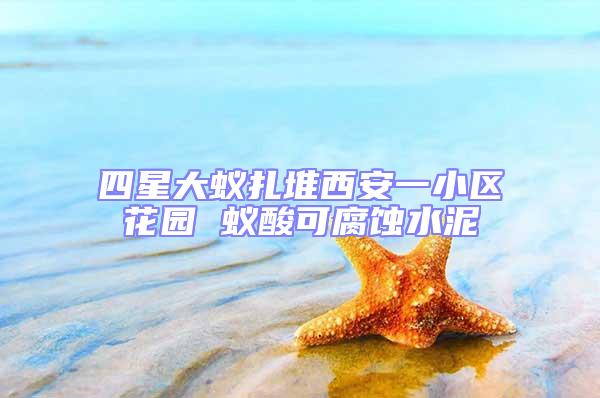 四星大蟻扎堆西安一小區(qū)花園 蟻酸可腐蝕水泥