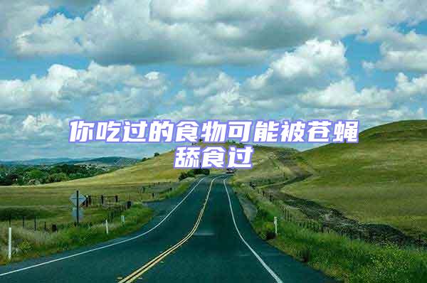 你吃過的食物可能被蒼蠅舔食過