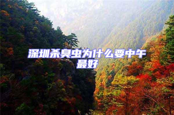深圳殺臭蟲為什么要中午最好