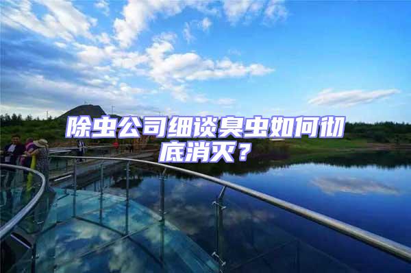 除蟲公司細談臭蟲如何徹底消滅？