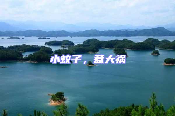 小蚊子，惹大禍