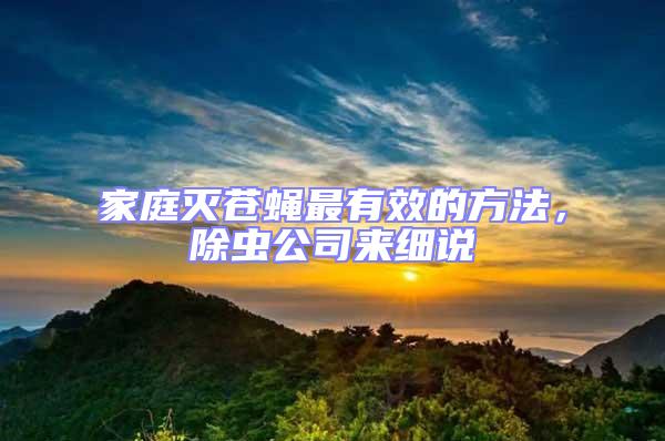 家庭滅蒼蠅最有效的方法，除蟲公司來細說