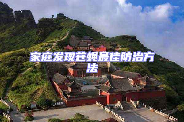 家庭發(fā)現(xiàn)蒼蠅最佳防治方法