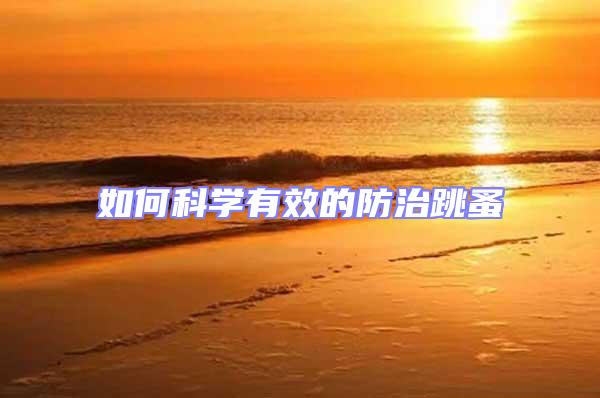 如何科學(xué)有效的防治跳蚤