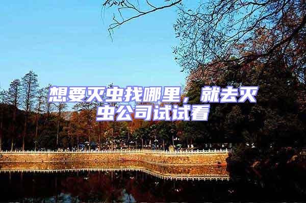 想要滅蟲(chóng)找哪里，就去滅蟲(chóng)公司試試看