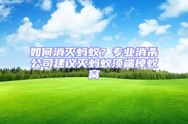 如何消滅螞蟻？專業消殺公司建議滅螞蟻須端掉蟻窩