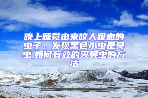 晚上睡覺出來咬人吸血的蟲子，發現黑色小蟲是臭蟲,如何有效的滅臭蟲的方法