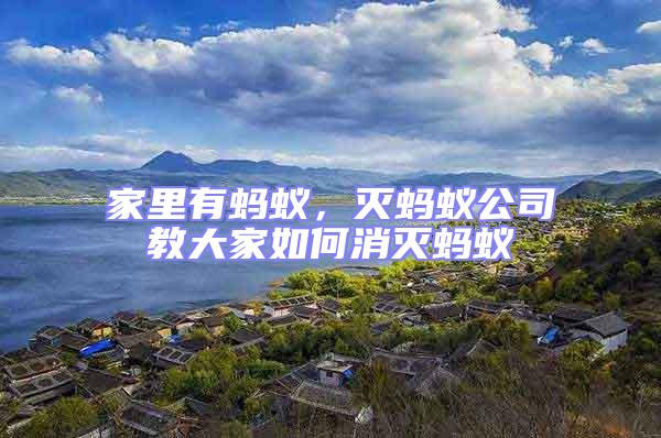 家里有螞蟻，滅螞蟻公司教大家如何消滅螞蟻