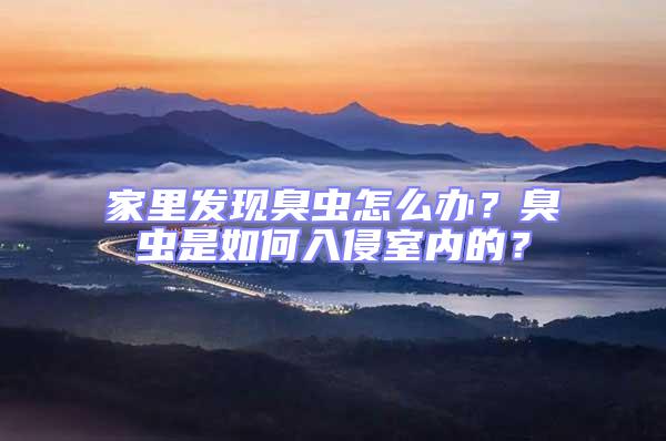 家里發(fā)現(xiàn)臭蟲怎么辦？臭蟲是如何入侵室內(nèi)的？