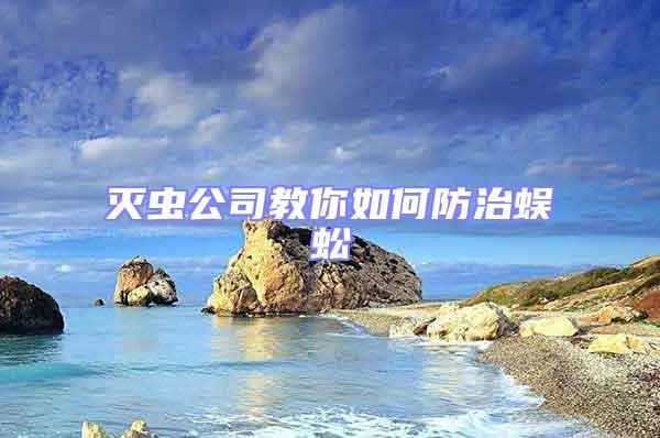 滅蟲公司教你如何防治蜈蚣