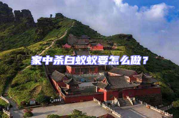 家中殺白蟻蟻要怎么做？