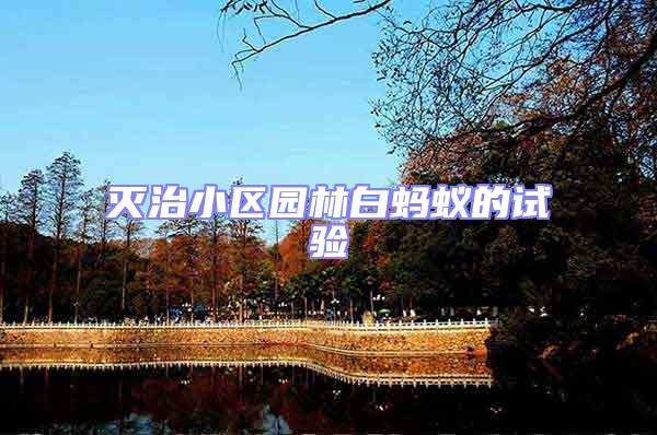 滅治小區園林白螞蟻的試驗