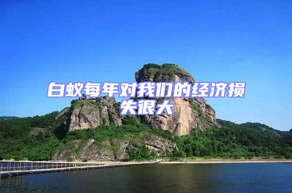 白蟻每年對我們的經(jīng)濟損失很大