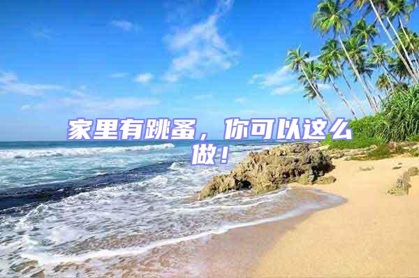 家里有跳蚤，你可以這么做！