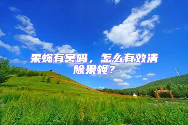 果蠅有害嗎，怎么有效清除果蠅？