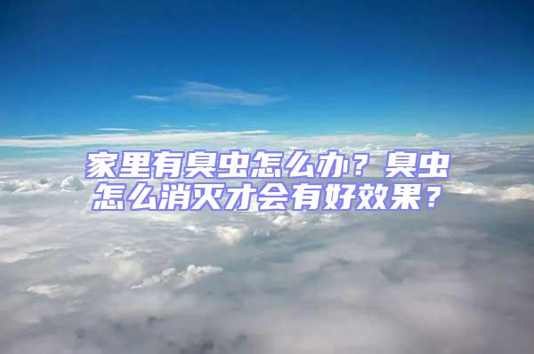 家里有臭蟲怎么辦？臭蟲怎么消滅才會有好效果？