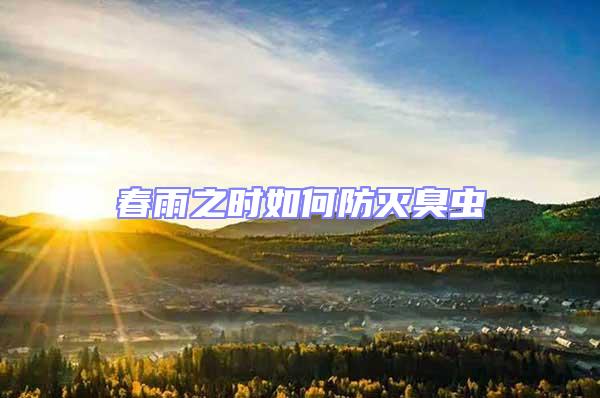 春雨之時(shí)如何防滅臭蟲