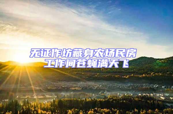 無證作坊藏身農場民房 工作間蒼蠅滿天飛