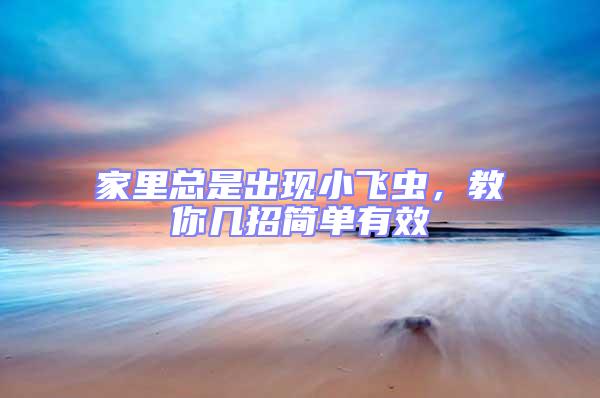 家里總是出現(xiàn)小飛蟲，教你幾招簡(jiǎn)單有效