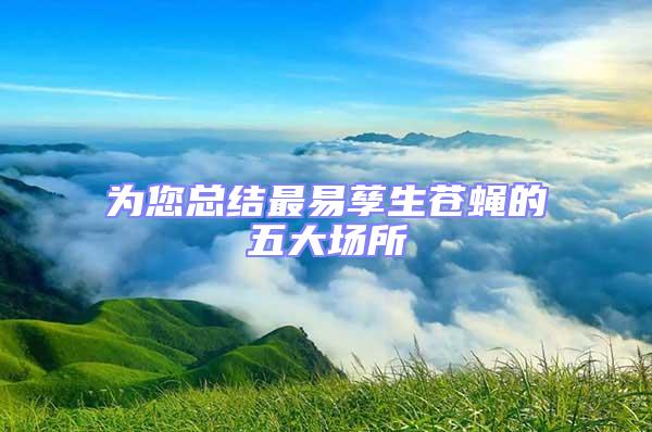 為您總結(jié)最易孳生蒼蠅的五大場(chǎng)所
