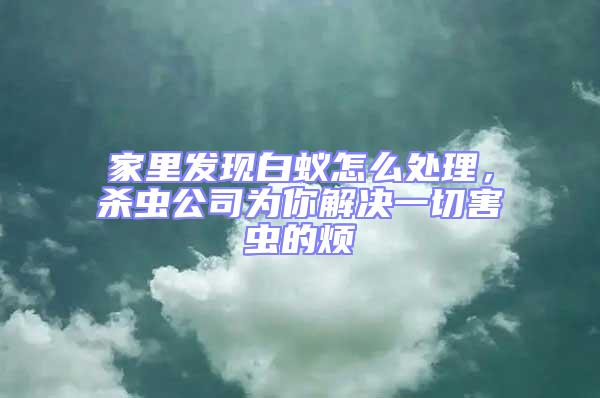 家里發(fā)現(xiàn)白蟻怎么處理，殺蟲公司為你解決一切害蟲的煩