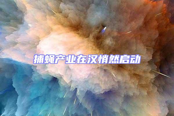 捕蠅產(chǎn)業(yè)在漢悄然啟動(dòng)