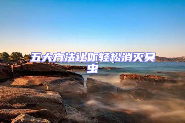 五大方法讓你輕松消滅臭蟲