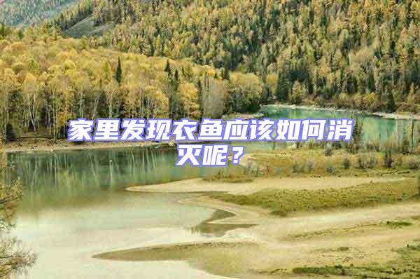 家里發現衣魚應該如何消滅呢？