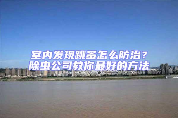 室內發現跳蚤怎么防治？除蟲公司教你最好的方法